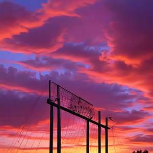 永不愈合的伤口