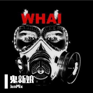 JunMix-鬼新娘+男儿当自强+相逢何必曾相识+顺流逆流+飘雪+大海+沉默是金+人间+孤寂+一人有一个梦想（JunMix remix）