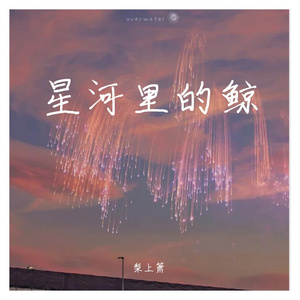 星河里的鲸（翻自 潘羽恩）