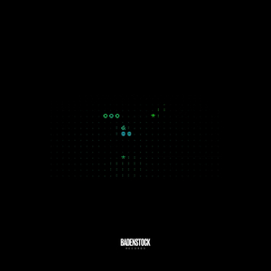 01110011