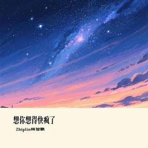 想你想得快疯了 (Cover 彭佳慧)