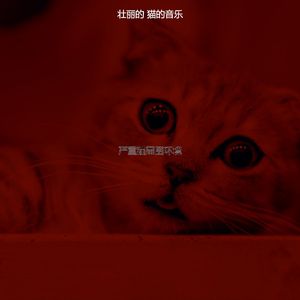 抚慰的压力大的猫回忆