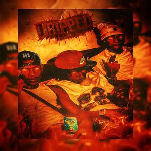 Drippeo (feat. JVIIDER RMG, Sterling Mil stylos & Lil king) (AndressDj Remix)