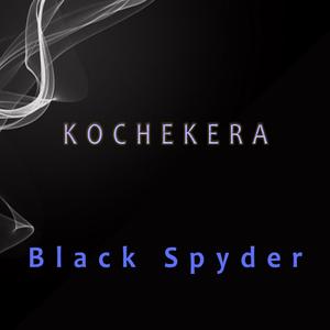 Kochekera