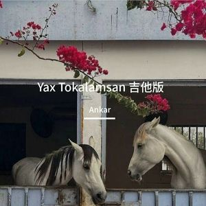 Yax Tokalamsan吉他版