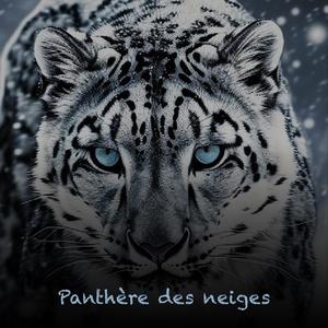 Panthère des neiges