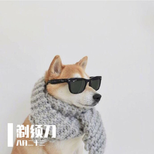 剃须刀