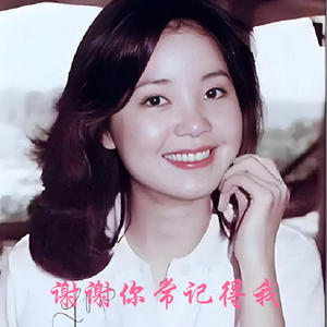 谢谢你常记得我（半音阶口琴）