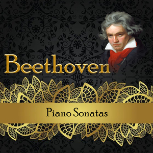 Piano Sonata No. 14 in C-Flat Minor, Op. 27 "Moonlight Sonata":I. Adagio sostenuto