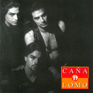 Bailando Me Lo Robaste