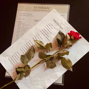 Takk for laget (skoleavslutning) (feat. Tuva Vikan, Margrethe Homstad, Linnea Evensen, Silje Aglen, Celine Hårstadstrand, Tiril Meier & Frida Hollup)