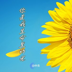 你是我生命里的光