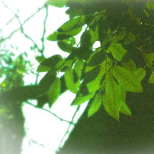 DEGOUTANTE (ba ba ba)