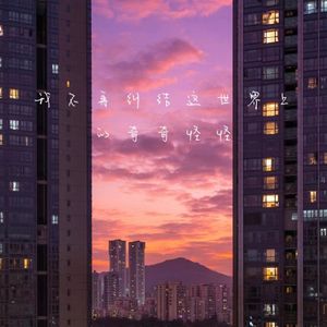 我不再纠结这世界上的奇奇怪怪