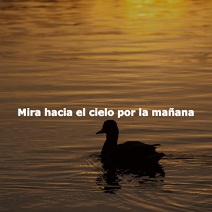 Peaceful Year End Celebrations