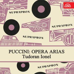 Turandot, Act I: "Non piangere, Liu"