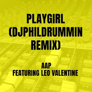 Playgirl (djphildrummin Remix)