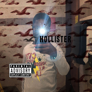 Hollister