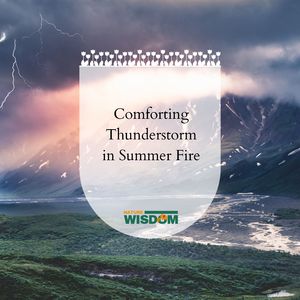 Steamy Woodland Forest