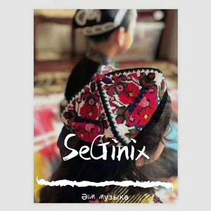 SeGinix