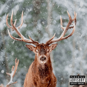 Rip Mandoneao Inostroza