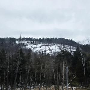 winter's coming to an end, but my depression's still here