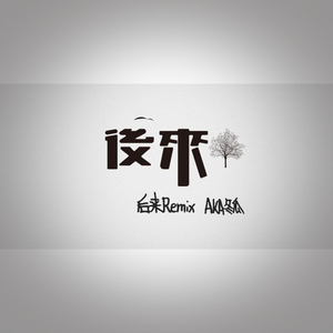 后来（Remix）
