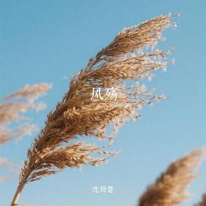 风殇