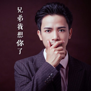 兄弟我想你了 (国语)