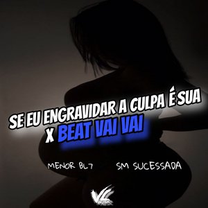 Se Eu Engravidar a Culpa É Sua X Beat Vai Vai