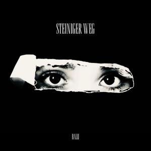 Steiniger Weg