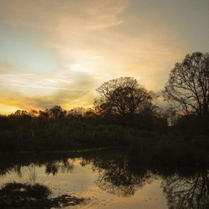 All The Colors I Can Be