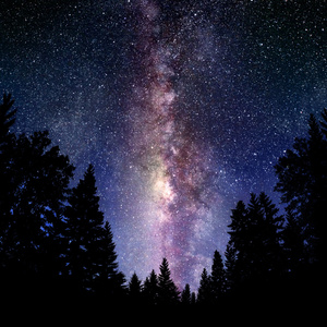 NIGHT LIGHT (Freestyle)