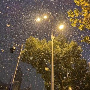 爱情转移（抖音版）