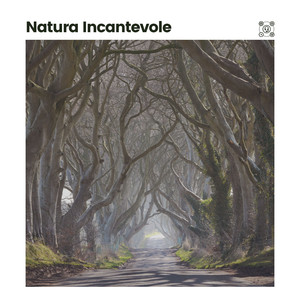 Rilassante pace dei fulmini