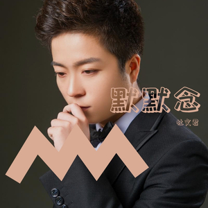 杜文君 - 默默念