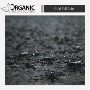Cold Fall Rain