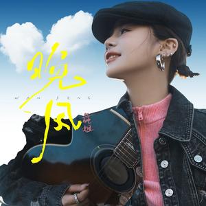 晚风 (DJ何友版)