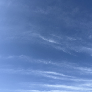 二零二六顺风顺水顺财神