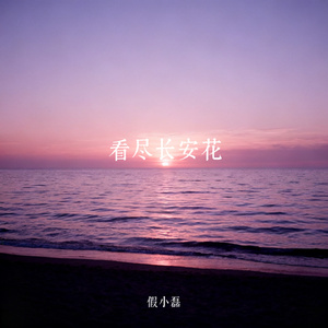 看尽长安花