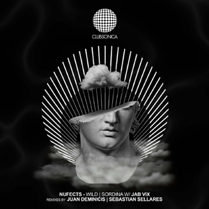 Wild (Juan Deminicis Remix)