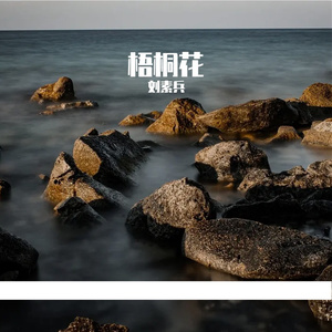 莫叹明月笑多情