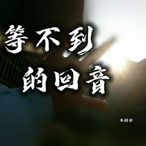 等不到的回音（纯音乐）