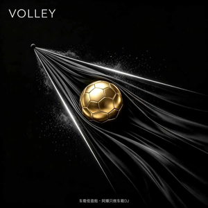 Volley