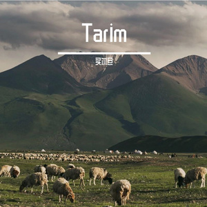 Tarim