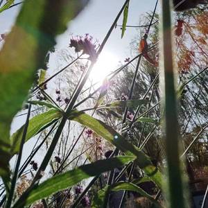 1987我不知会遇见你