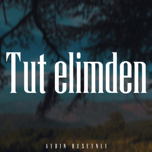 Tut Elimden