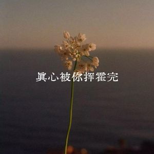 真心被你挥霍完
