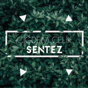 Kimseye Etmem Şikayet