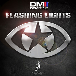 Flashing Lights (D-Lo Dubstep Mix)